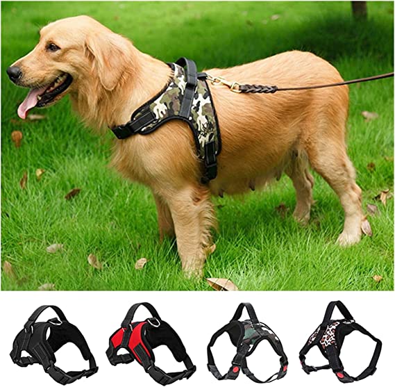 Strong pressure-free dog harness, light grip, m