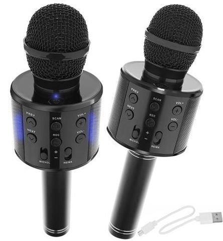 Karaoke microphone with black speaker